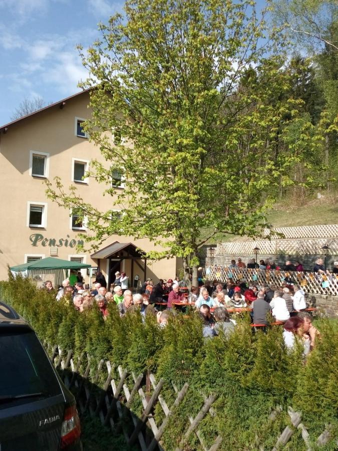 Pension Sommerfrische Ehrenfriedersdorf Bagian luar foto